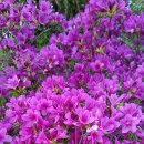 양정시장 이미지