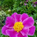 대연농원밥집 이미지