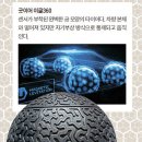 화제타이어