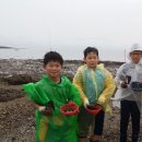 창원 초등학교 창원일보