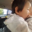 주식회사 더봄 | 우리 아이 간식의 품격을 높이다 더봄 아기 간식