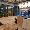 도그월드 이미지