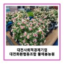 대전 화환, 다육, 철쭉 등 대전화원협동조합 소속 뜰애봄농원