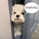 곰도리공원 | 사랑해도 혼나지 않는 꿈 💭