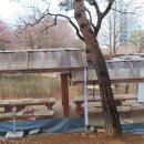발산공원 Daum카페