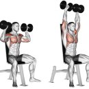 덤벨로 어깨도 넓힐 수 있을까요? 이미지