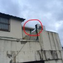 온천3동-8 이미지