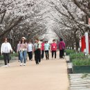 황구지천 이미지