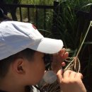 동물식물 생태체험교실 이미지