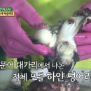 전여옥 “이재명·조국 ‘연태고량주’면 OK?…만찬 영수증 올려라” 이미지