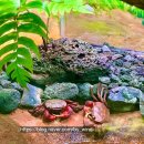 GR(서천군)-[금강로]-상-1 | [특별 50% 할인 코드] 국립생태원 나들이 리뷰 | 실내로 피서가기 좋은 곳 | 서천 가볼만한 곳