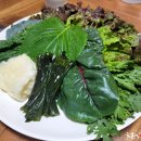 황토우렁이마을 이미지