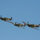 리베르타 이미지