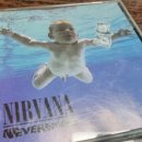 네버마인드NEVERMIND