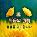 마음의 편지 이미지