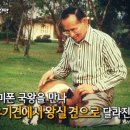 왕실동물병원 이미지