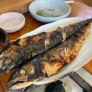시골밥집 | 예술의전당맛집 서울 남부터미널역 근처 밥집 추천 시골집 내돈내산후기