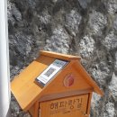 DMZ 33-1코스 길을 걸었습니다.