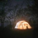 숲속의안뜰 이미지