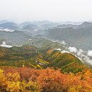 진홍목장 이미지