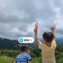 신평농장 | 등산여행🌾 가을 감성이 물씬! 아이들과 함께한 합천 황매산 등산 후기