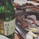 아비의소