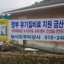 도우미상사 네이버블로그