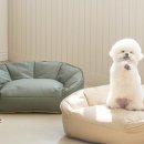 사계절 애견 켄넬 이미지