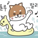 더뷰호스텔(더뷰동피랑호스텔) 이미지