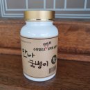 만나굼벵이
