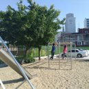 월곡초등학교 이미지