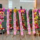 션샤인헤어 이미지