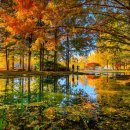 가송길(도산면) 이미지