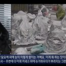 다문화사회의 음영+ 차별 구조 속 이주노동자 | 소수자 인권 (여성, 장애인, 이주민, 노인, 아동 등)