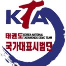 국가대표 금메달 태권도장 이미지