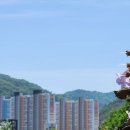 오동수원지 이미지