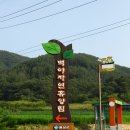 백야낚시터 이미지