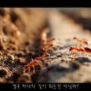 ㈜개미환경 이미지