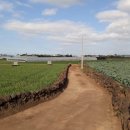 동일리 지석묘 1호 이미지