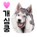 (주)골든리버 이미지