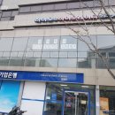 하이모레이디