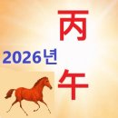 2026년 병오년 운세풀이 이미지