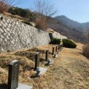 순천장의사 이미지