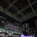 배구 | 여자배구 설레는 첫직관 후기!