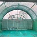 이편한골프아카데미 | ⛳ 둔산동 골프연습장 끝판왕! 60미터 야외에서 제대로 배우는 “빅제이골프아카데미” 솔직 후기