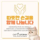 캣리포니아 네이버블로그