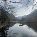 주식회사 약팜 이미지