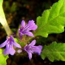 금창초등학교 이미지