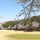 통도CC 골프연습장 이미지