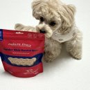 유일덴탈 이미지